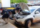 PRF recupera caminhonete roubada e com placas clonadas no Maranhão